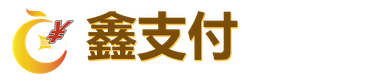 鑫支付 logo